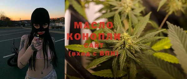 крисы Богородск