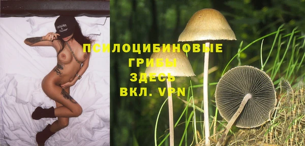 ALPHA-PVP Богородицк