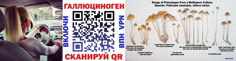 Псилоцибиновые грибы Magic Shrooms  Боровичи 
