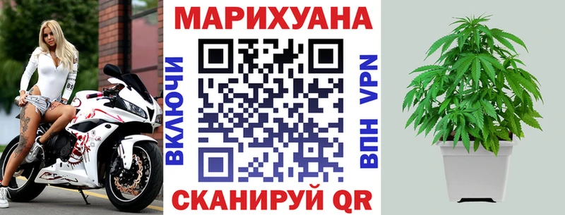 наркота  Боровичи  Бошки марихуана THC 21% 